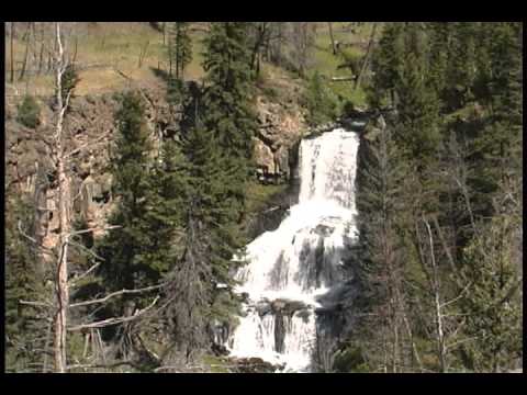 Hummingbird Commercial