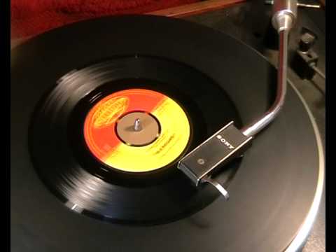 The Kingsmen - Little Latin Lupe Lu - 1964 45rpm