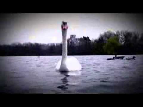 Eric Beyond feat. Nina Persson - Prom Night (Music Video)