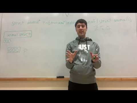 Arrow Operator Vs Dot Operator Programming Tutorial
