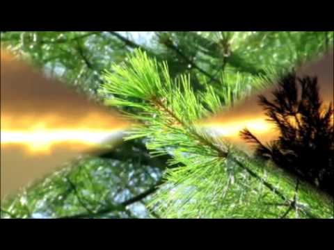 A Dawn Follows Night -  Music David R Maracle Spirit Flutes  The Long Journey