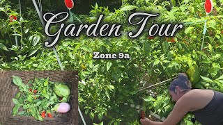 Garden Update & Harvest 🌱 Summer Struggles, Fall Prep, and Chaos Gardening Fun! #garden #harvest 