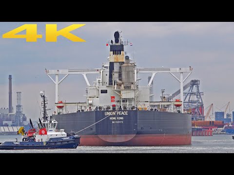 SHIPSPOTTING HEAVEN IN ROTTERDAM | MEGA SHIPS NONSTOP! 4K SHIPSPOTTING 2025