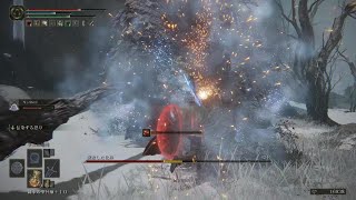 ELDEN RING 腐敗した化身(聖別雪原・小黄金樹)