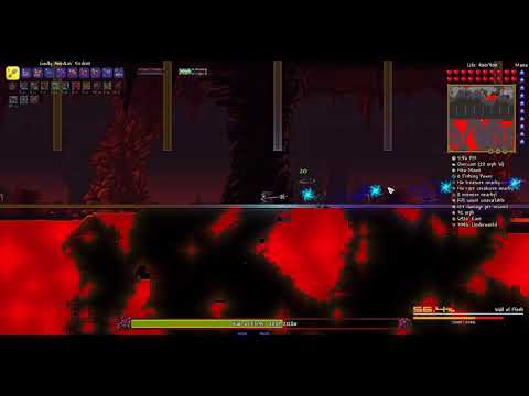 Terraria Calamity Mod - Revengeance Mode Wall of Flesh No-Hit