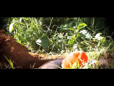 Twarayarangije by amag the black ft Bruce melody