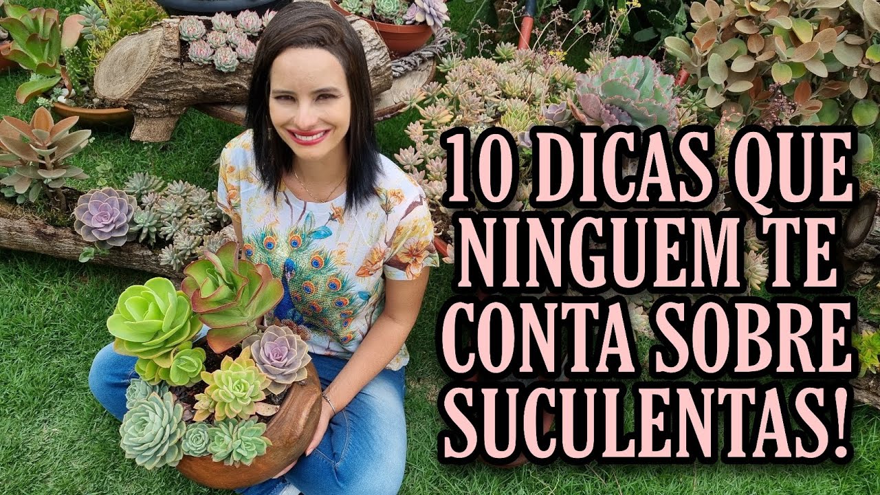 10 coisas que nunca te contaram sobre as SUCULENTAS