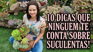 10 coisas que nunca te contaram sobre as SUCULENTAS