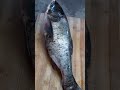 Maya Maya Fish