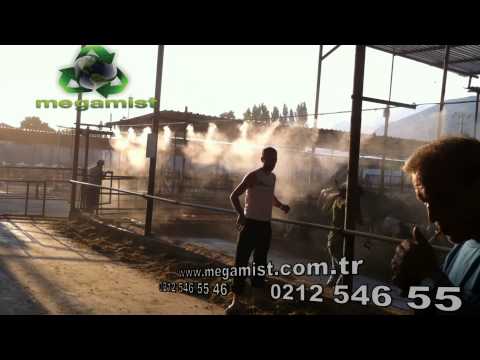 Hayvan Ahırı Serinletme Sistemleri video önizleme