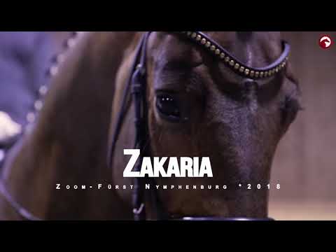 Zakaria v. Zoom - Fürst Nymphenburg - Davignon I