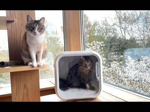 ペット用ドライヤーハウス Drybo Plus