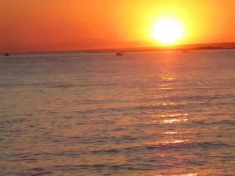 NON SI MUORE PER AMORE -  I PROFETI