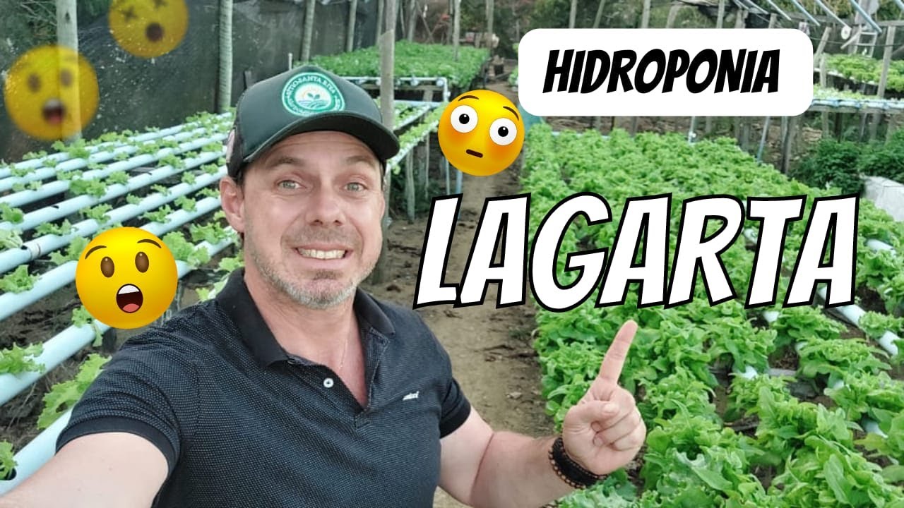 Como controlar lagartas? #hidroponia