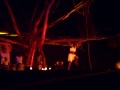 Circus Baobab Colombia 2008 1