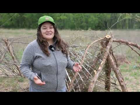 Preview of "Restoring Refuge"- Art and Natural Resource Residency 2023