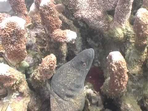 Nha Trang, NhaTrang,Vietnam