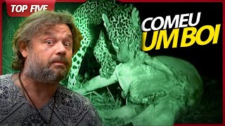 Miniatura do vídeo