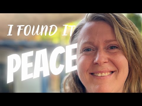 Witness21 Editor  2023 11 11