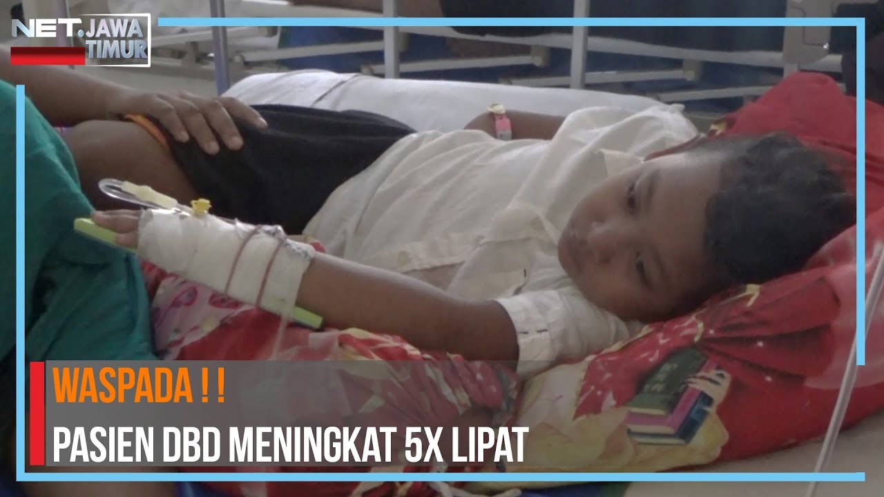 GAWAT...!! PASIEN DBD DI JOMBANG MEMBLUDAK- NET. JATIM