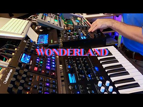 Wonderland - finest Deep Techno from Berlin (Live Set with Elektron machines, Wavestate & SP-606)