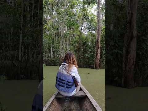 amazonas....mágico y exuberante #nature #birdingparadise #wildlife #travel #puertonarino