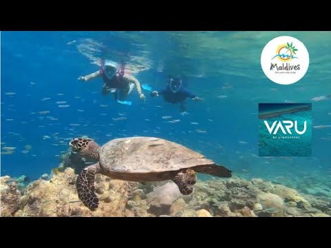 Videos del Varu By Atmosphere 5★ en Atolón de Malé Norte, Maldivas
Ver Más
Ver
Precios
19
Cerrar
Consulta por Whatsapp 🇦🇷
Booking
Tripadvisor
Expedia
Agoda
Travelocity
Orbitz
Priceline
Trip
Skyscanner
Despegar
Kayak
Hoteles
Destinia
Trivago
Lastminute
Hotwire
Cheaptickets
Tui
Wotif