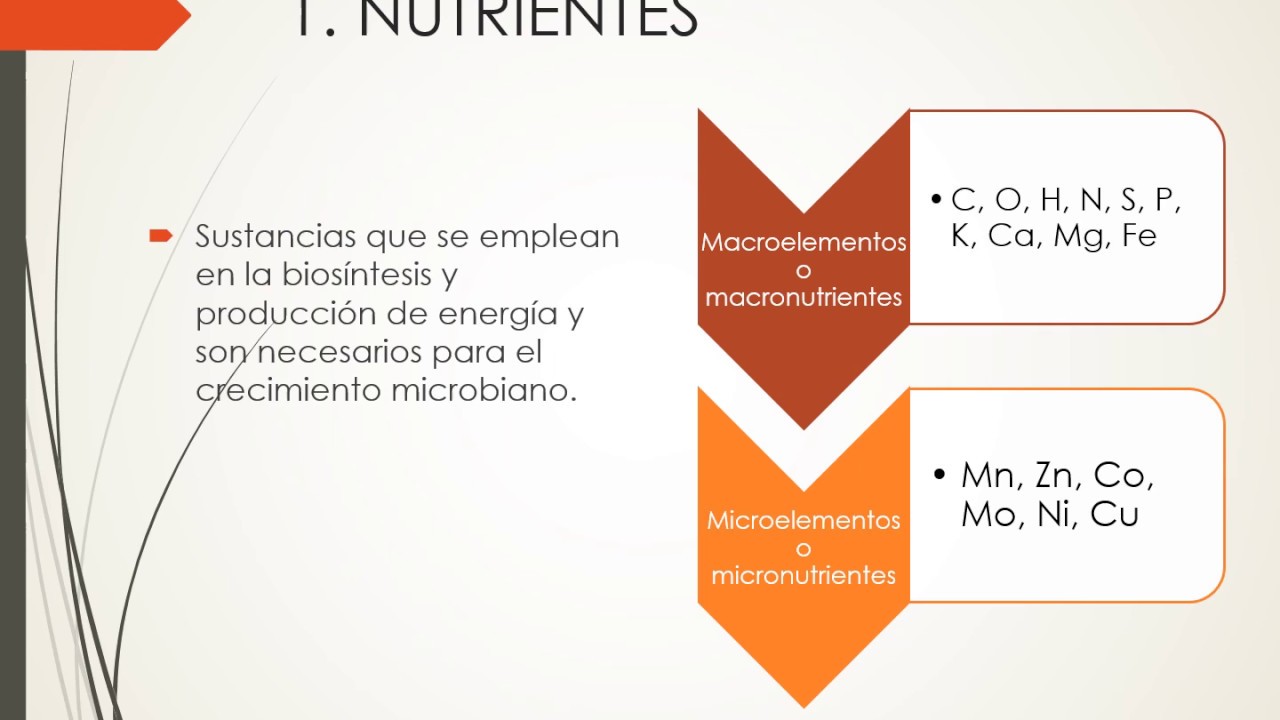 NUTRICIÓN MICROBIANA