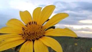 "It´s just a family affair"