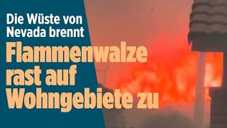 USA: Waldbrand außer Kontrolle – 4000 Hektar stehen bereits in Flammen!