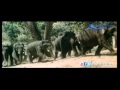Sollu Sollu HD Song