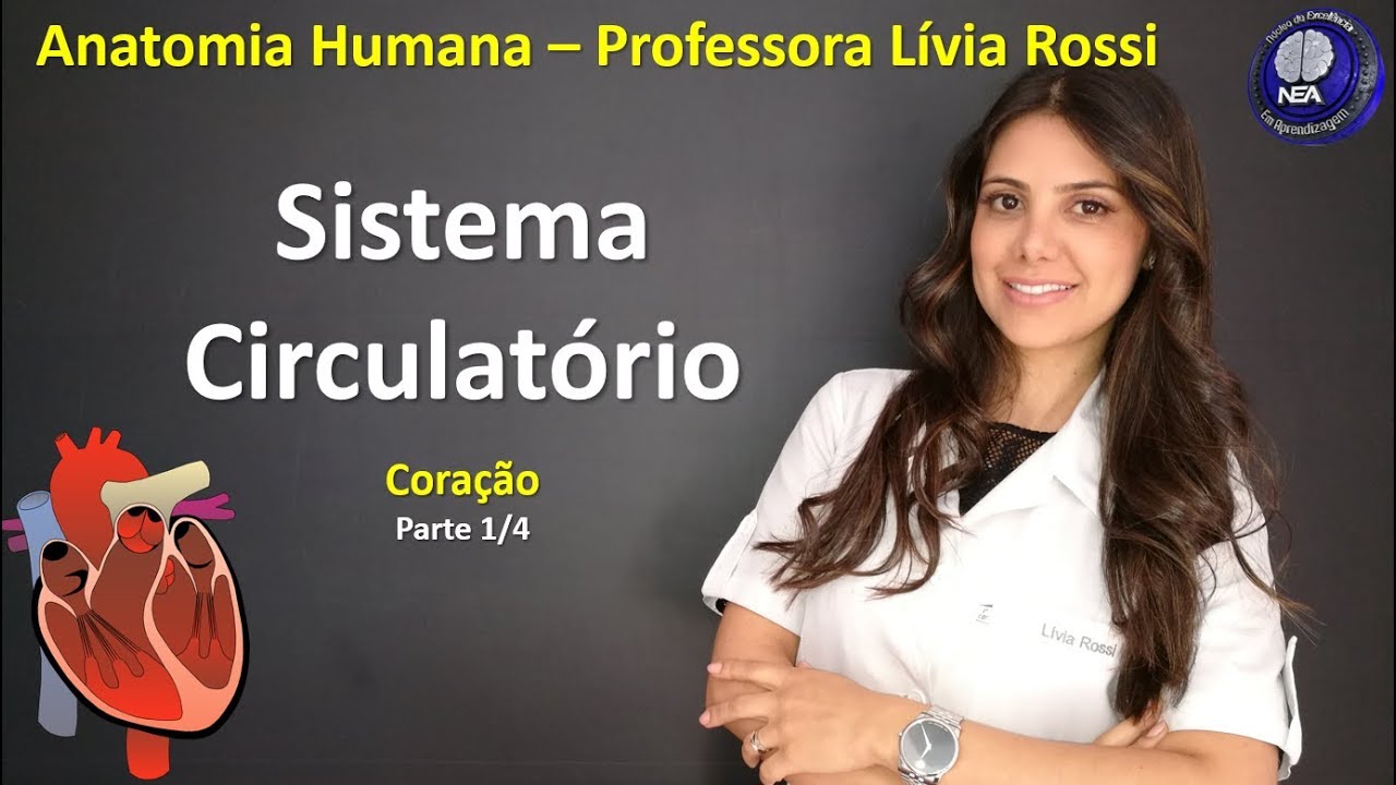 Anatomia Humana - Sistema Circulatório - Coração (1/4)