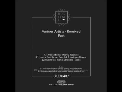 Danilo Schneider - L'ecole (Buck Remix)