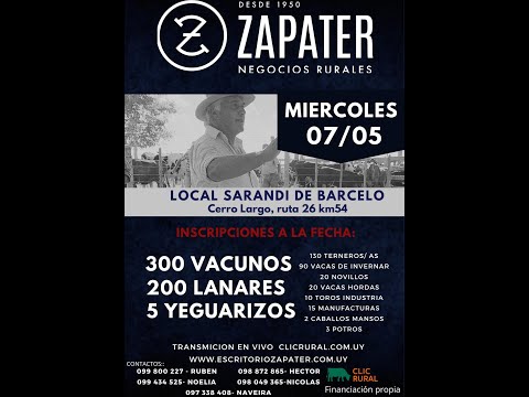 7/5/2025 Feria Mensual - Local Sarandi de Barceló -  Escritorio Zapater