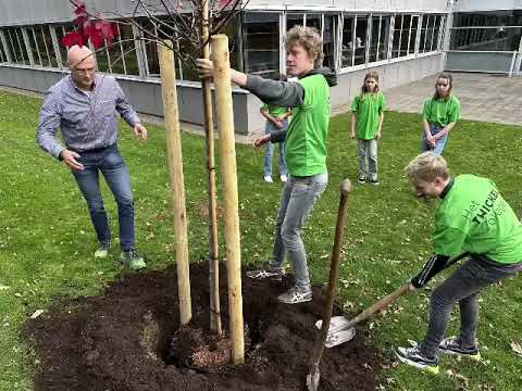 filmpje bronzen certificaat