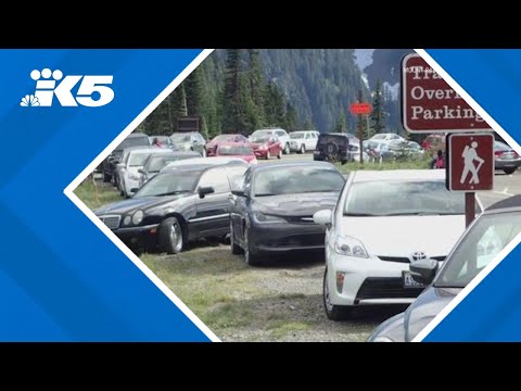 Timed entry at Mount Rainier National Park begins