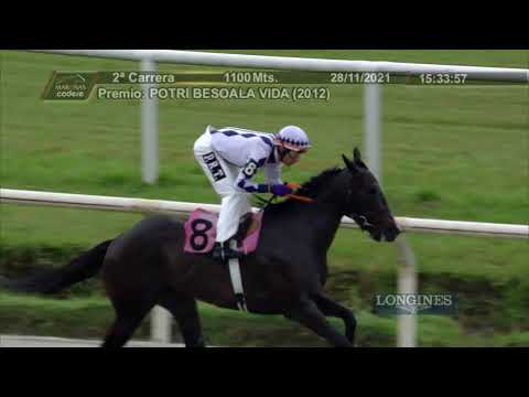 211128 c02 MARSALA T