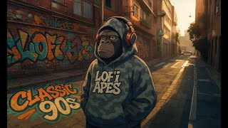 Classic 90s Hip-Hop Soul  Boom Bap Beat with Soft Scratches & Jazzy Vibes