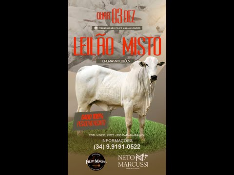 LEILÃO MISTO  03/12/2025 - FILIPE MAGNO LEILÕES - RIO PARANAÍBA-MG