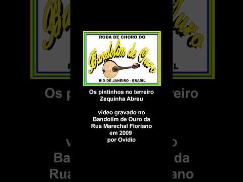 Os pintinhos no terreiro #choronapraça #brazilianmusic #chorinho #flauta #samba #mpb #zequinhaabreu
