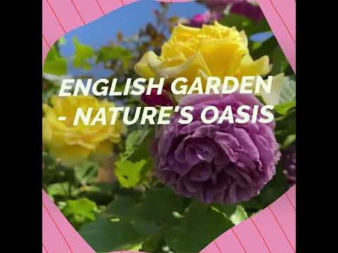 Munich's Hidden Treasures: 7 Enchanting Sites | Exploring Bavaria's Charm!