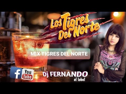ZARPAZO MIX Tigres del Norte 🐅 🔥 dj Fernando el Lobo 🐺 #cantonmix