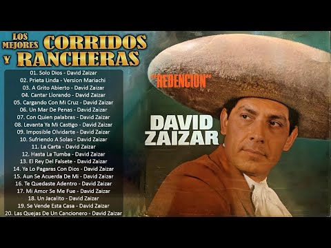 David Zaizar Sus Grandes Exitos ~ Corridos Y Rancheras Mix 2025