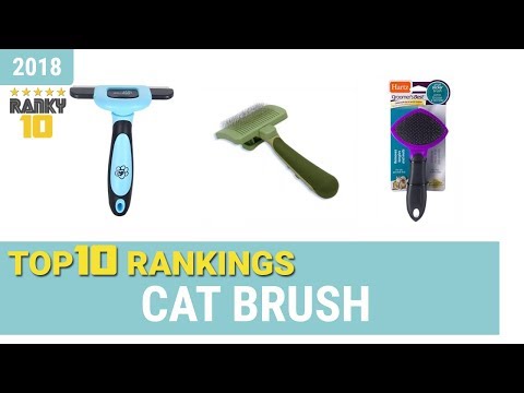 Best Cat Brush Top 10 Rankings, Review 2018 & Buying Guide