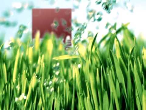 Deluxe Music bumper -  auto promo 1