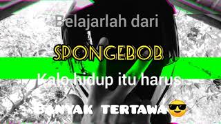 Download lagu Story whatsapp lagu spongebob mp3