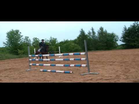 C TRENTON Z X LOCATO - SALTANDO ...