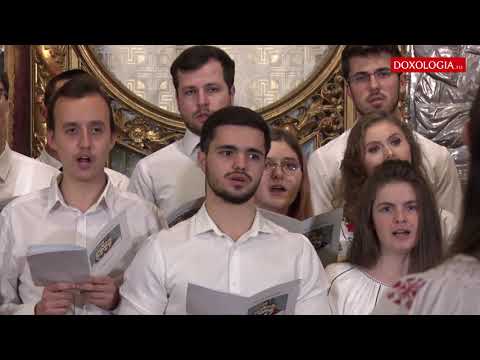 Ceata de mediciniști - Noi umblăm de-a colinda