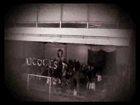 Licogest_day_2 parte.mp4