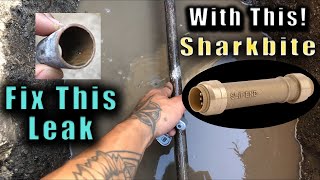 Repair Copper Pipe Pinhole Leak With Sharkbite (Save $$ Thousands by DIY)